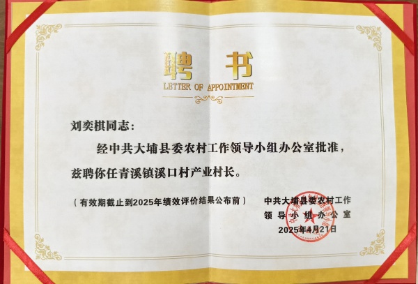产业村长证书