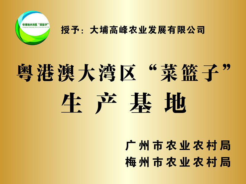 粤港澳大湾区